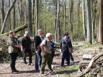 Wizytacja rezerwatu Las Łagiewnicki wraz z pracownikami Regionalnej Dyrekcji Ochrony Środowiska w Łodzi i pracownikami Leśnictwa Miejskiego w Łodzi. Wyznaczenie nowych zadań ochronnych dla rezerwatu 18.04.2019r. , <p>fot. M. Majda</p>